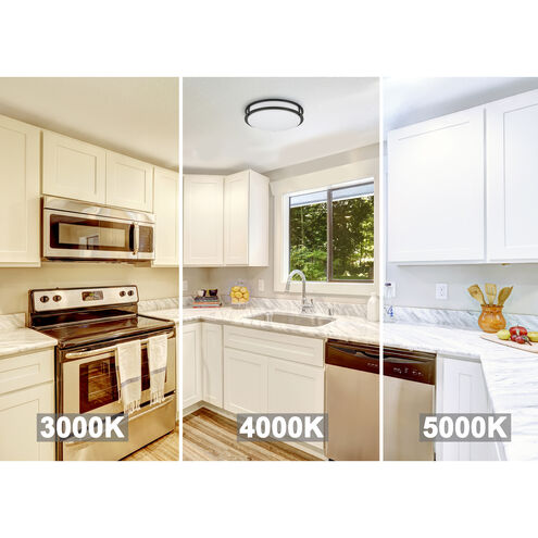 EnviroLite LED 14 inch Matte Black Flush Mount Ceiling Light